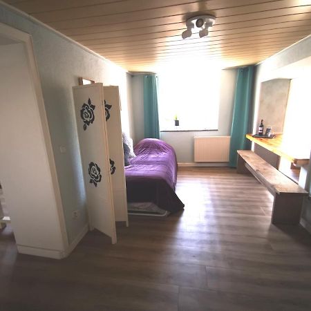 Mooi Ruim Appartement In Antieke Stadsboerderij Schönecken Extérieur photo