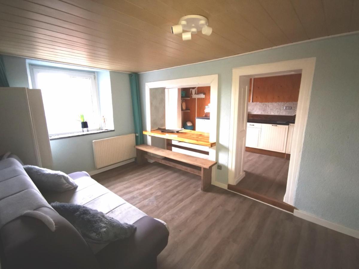 Mooi Ruim Appartement In Antieke Stadsboerderij Schönecken Extérieur photo